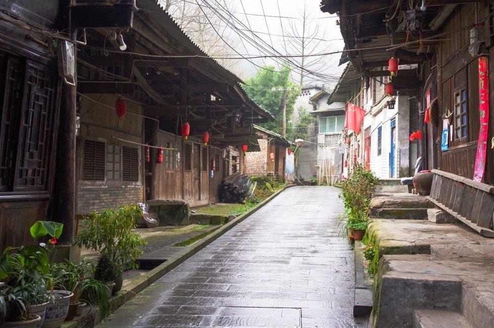 雷竞技比分